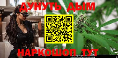 сатива Сланцы