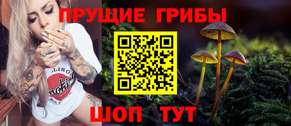 Павловский Посад  Галлюциногенные грибы GOLDEN TEACHER  Вход с VPN 