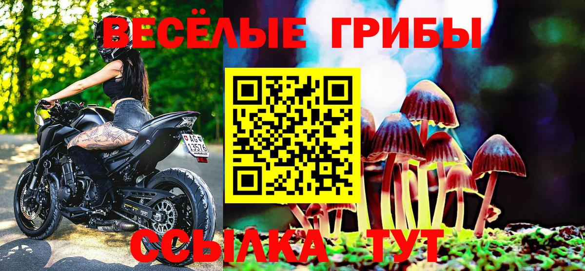 Псилоцибиновые грибы Magic Shrooms Павловский Посад